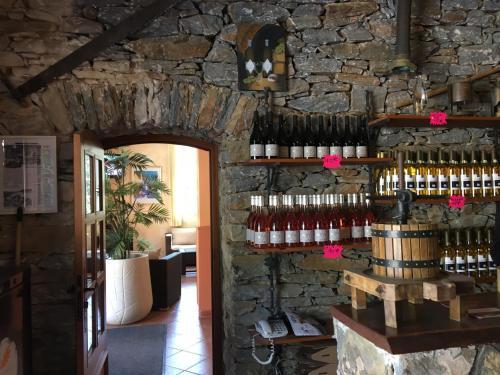 Hotel Du Vignoble