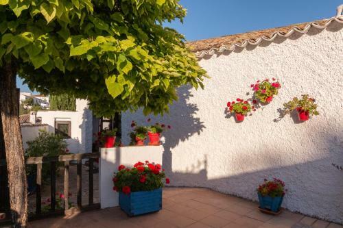 Preciosa Casa Rural Boutique Con Piscina Privada, Wifi