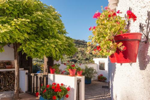 Preciosa Casa Rural Boutique Con Piscina Privada, Wifi