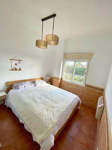 Beautiful Villa With Huge Private Pool And Vineyard View