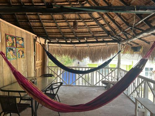 Hostal Eco-conscious Oasis Punta Arena 04