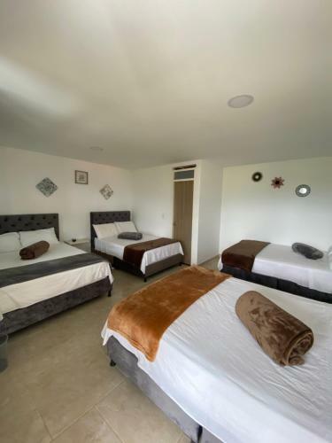 Casona Hotel La Divisa