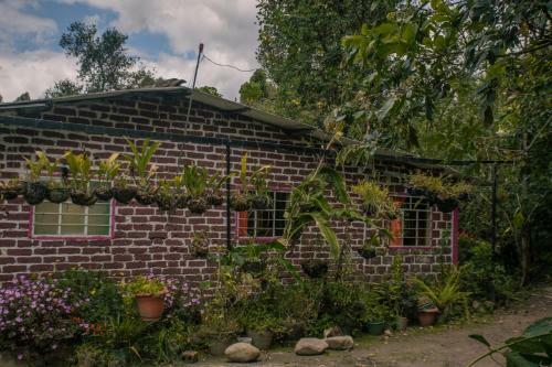 Posada Ayen Bienestar Ancestral