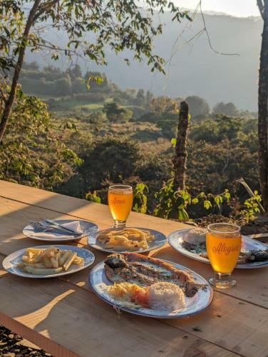 Mamaterra Glamping