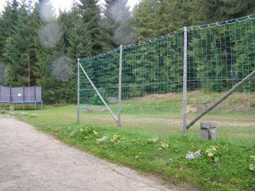 Hostal Penzion Borovice