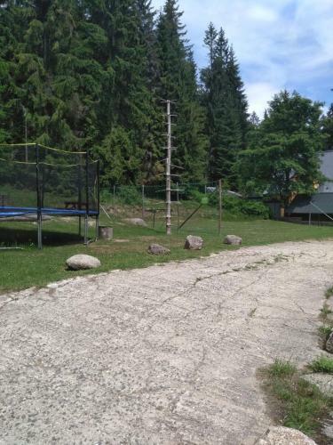 Hostal Penzion Borovice