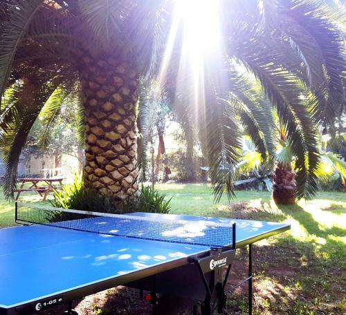 Hotel H�tel Le Patriarche