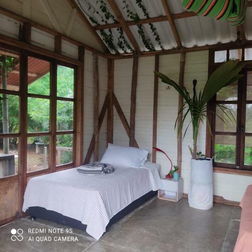 Hostal Animal Paradise