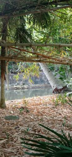 Hostal Animal Paradise