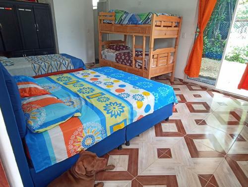 Sina� Caba�a Campestre