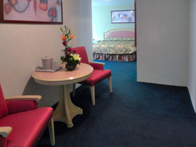 Hotel San Francisco Irapuato Business Class