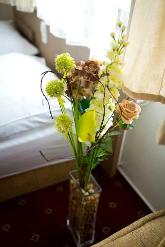 Hotel Penzion Zubr