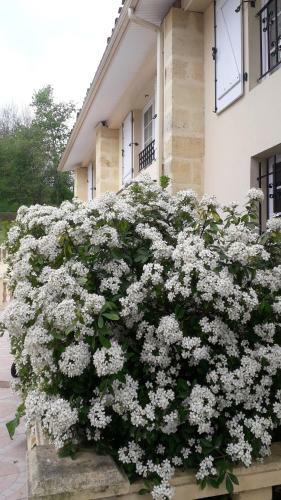 Bed & Breakfast La Chenaie