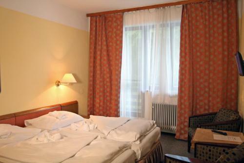 Hotel Medlov