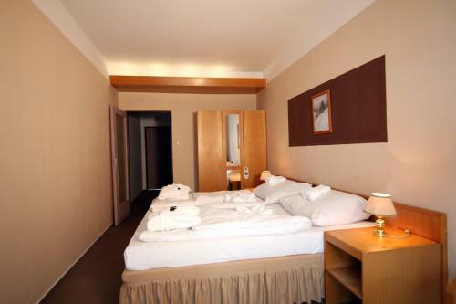 Hotel Medlov