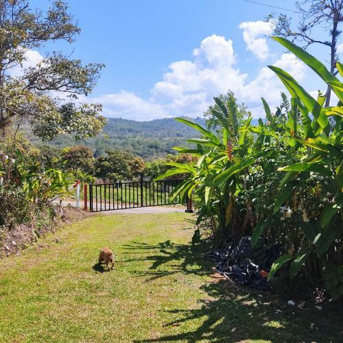 Agradable Casa de Campo Con Piscina, Campo de Tejo