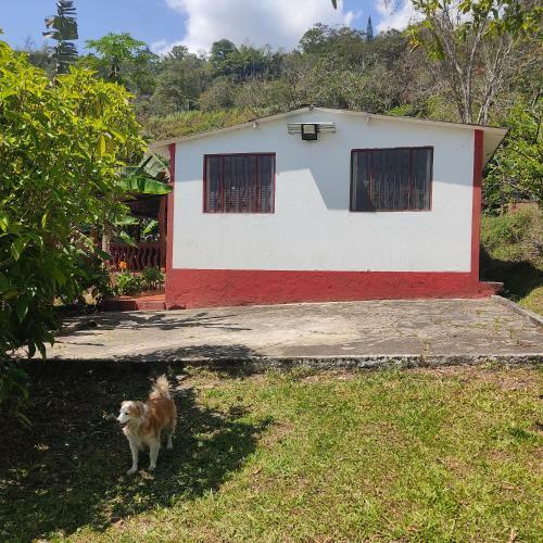 Agradable Casa de Campo Con Piscina, Campo de Tejo