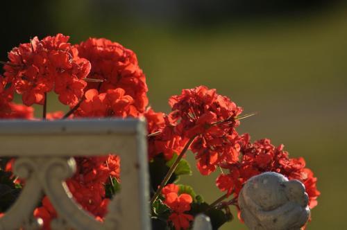 Bed & Breakfast Ch�teau De Gizeux