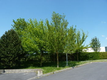 B&B Hotels Ch�lons En Champagne