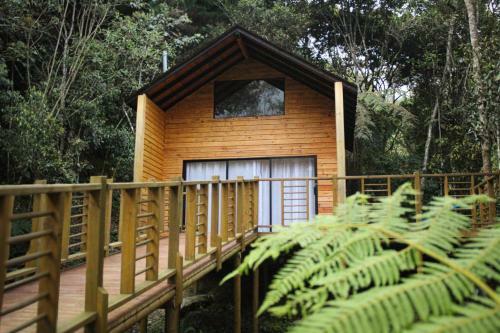 Vital Ecohotel Caba�as