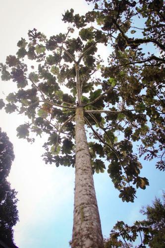 Vital Ecohotel Caba�as