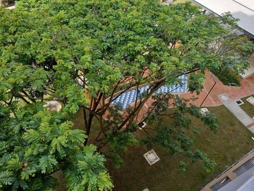 Lindo Y Acogedor Apartamento