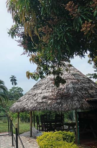 Finca La Martina