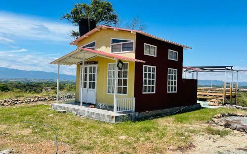 Venadillo Roca S�lida