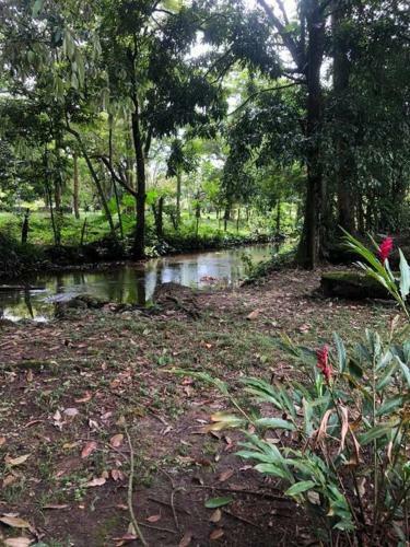 Agradable Finca Campestre Familiar Con Piscina