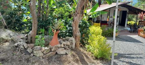 Eco Finca