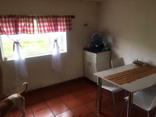 Finca San Carlos 100% Pet Friendly