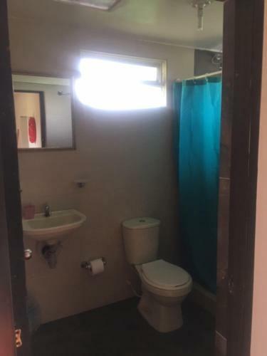 Finca San Carlos 100% Pet Friendly