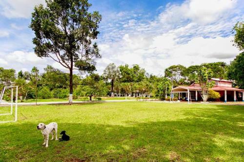 Agroturismo Finca Hacienda El Morichal