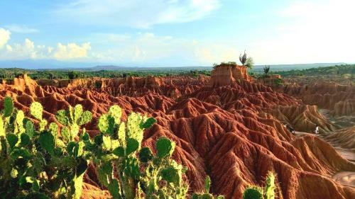 Avani Del Desierto