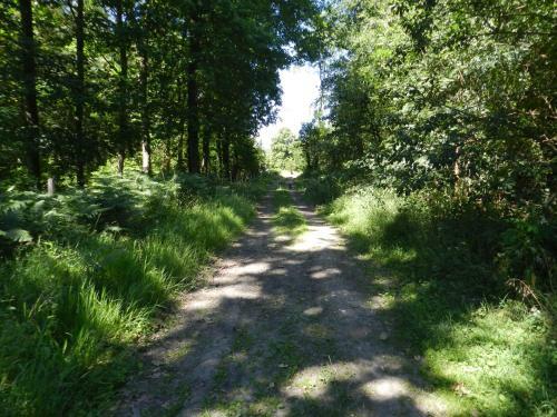 B&B Le Bois De Champia