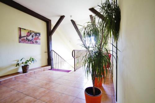 Hostal U Heligonky