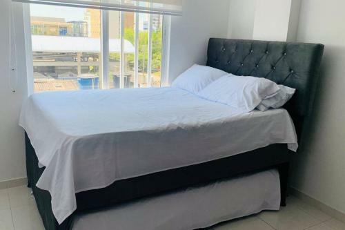 Apartamento Amoblado De Lujo, Excelente Ubicaci�n