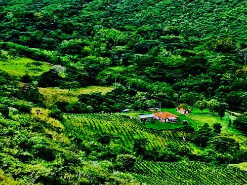 Agroturismo Hacienda La Tulia Eco Hotel