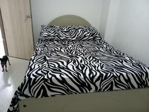Apartamento Hostal Don Ram�n