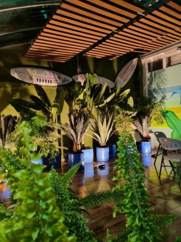 Hotel Florentina