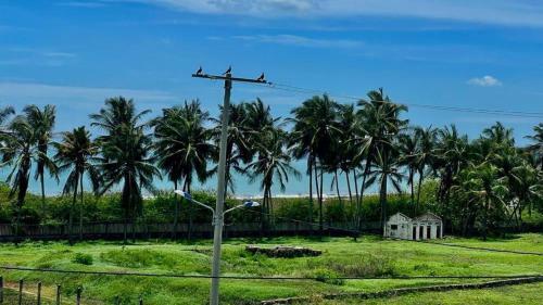 Hotel Palm Beach Resort