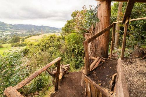 Apartamento Casiopea Glamping
