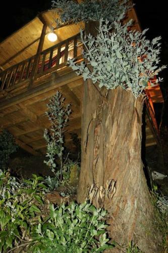 Apartamento Casiopea Glamping