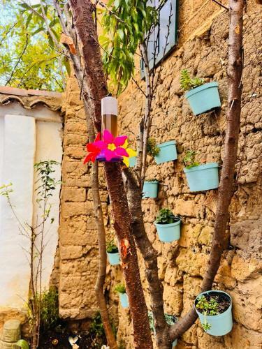 Hotel Turquesa Casa Boutique
