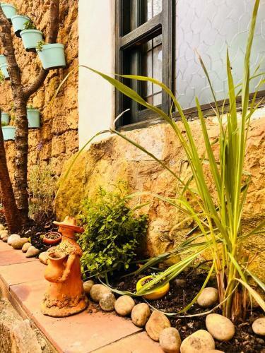Hotel Turquesa Casa Boutique