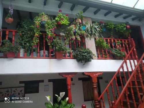 Hotel Hostal El Girasol