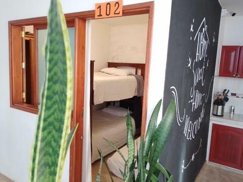 Hostal Family Host Hostel