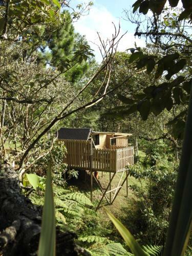 Glamping Con Jacuzzi