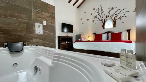 Hotel Boutique & Spa - Vdl Colonial