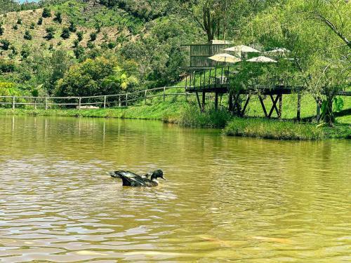 Aparthotel Los Lagos De Jas�